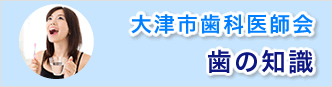 大津市歯科医師会　歯の知識